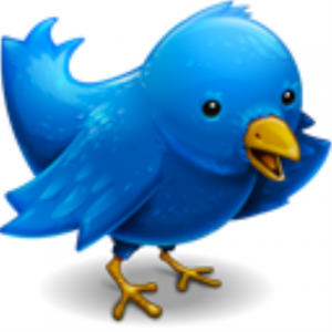 Image is a cartoon of a bird.  The color is blue, which is Twitter's corporate color.