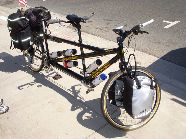 Photo is of the tandem.  It's dark brown.